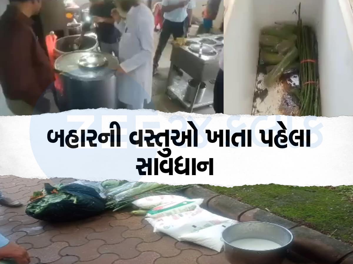 ગુજરાતના ફેમસ હીલ સ્ટેશનમાં લોકોના આરોગ્ય સાથે ચેડા, વેચાતું હતું આવું ગંદુ ફૂડ 