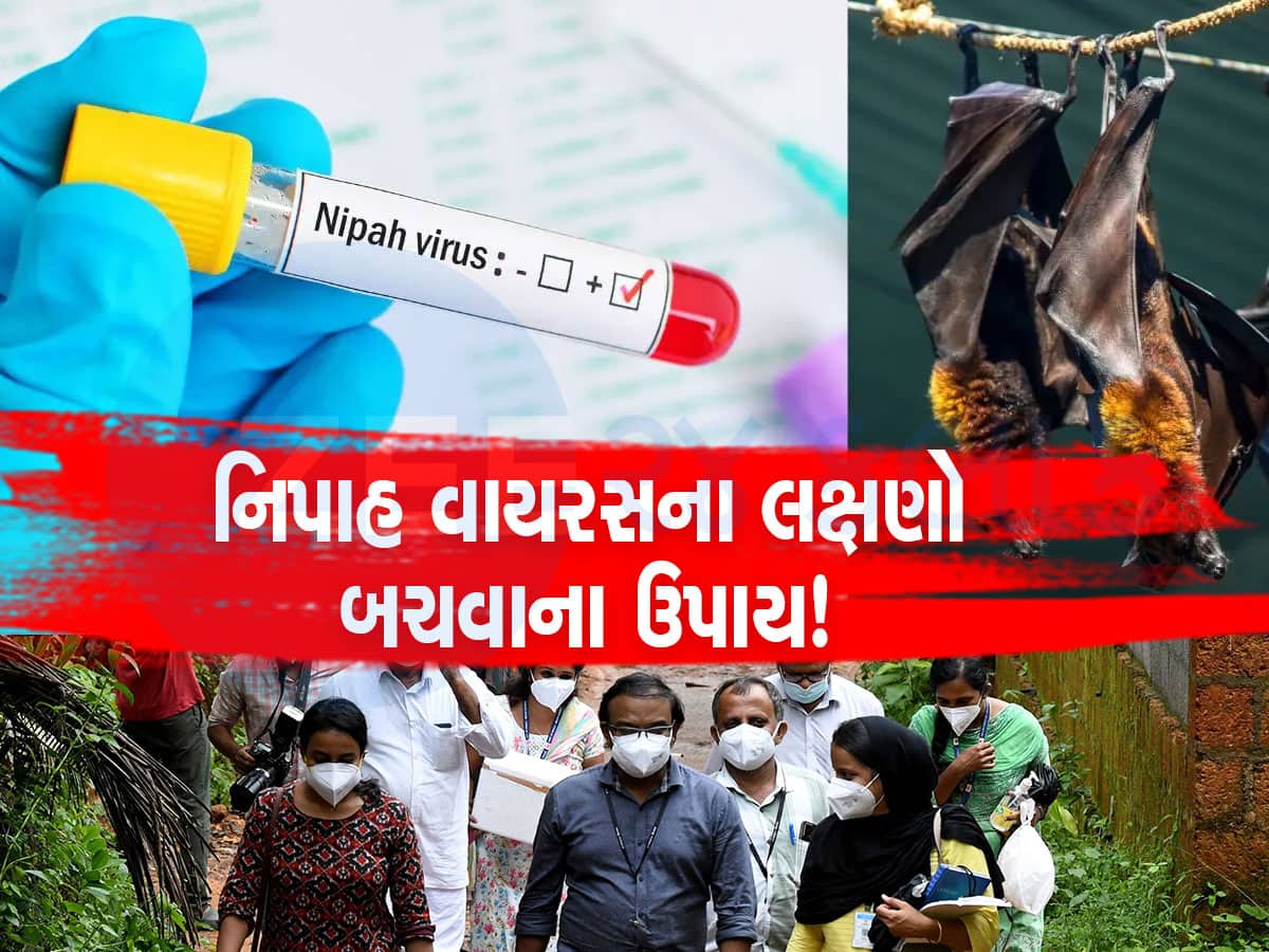Nipah Virus: એવો વાયરસ જેની કોઈ દવા કે વેક્સીન નથી, સંક્રમણથી બચવા તરત કરો આ 5 કામ