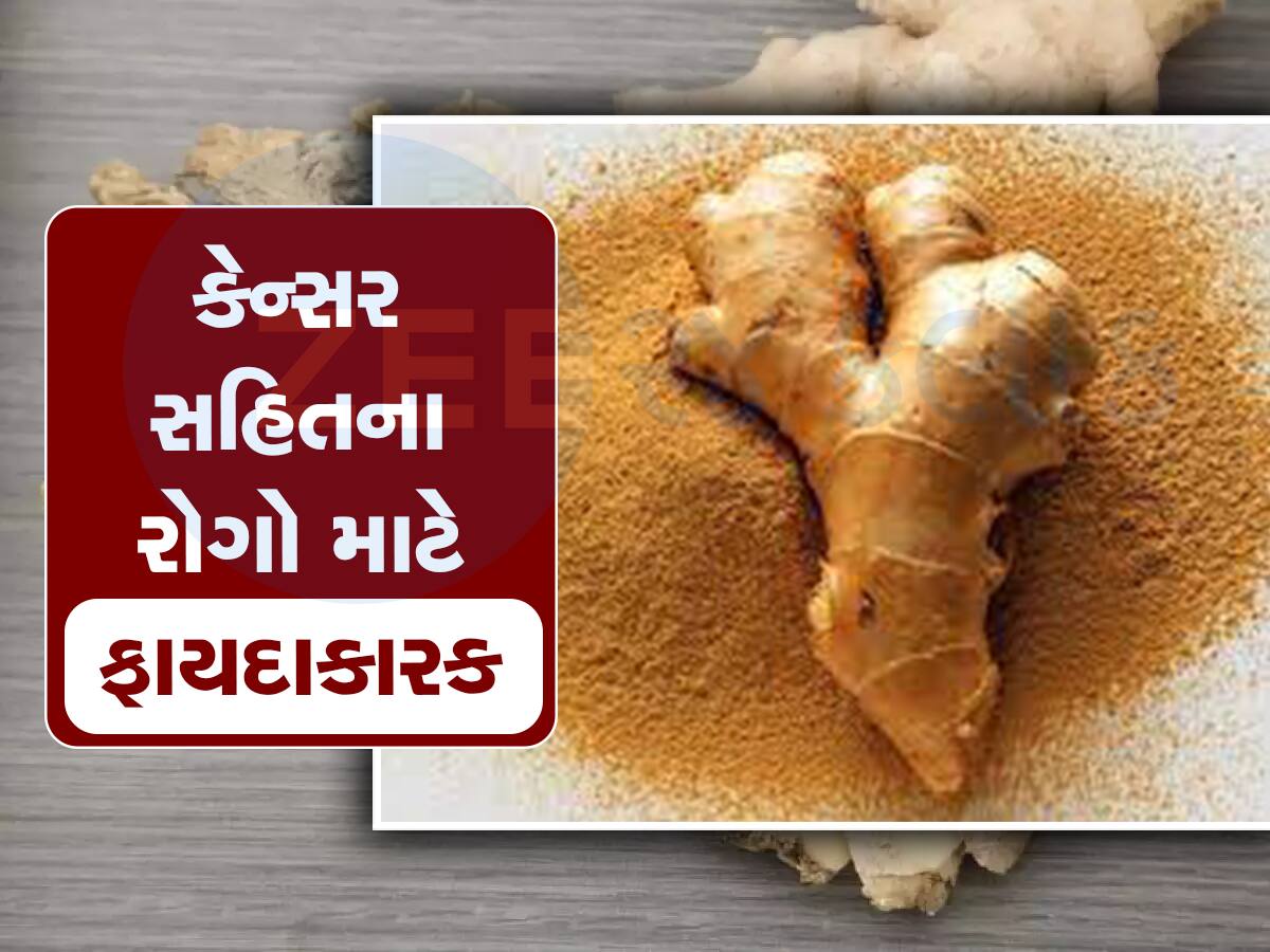 Dry Ginger Benefits: કોઇ ખજાનાથી કમ નથી Gingerols રિચ સૂંઠ, કબજિયાત સહિત દૂર કરશે ઘણી બિમારીઓ