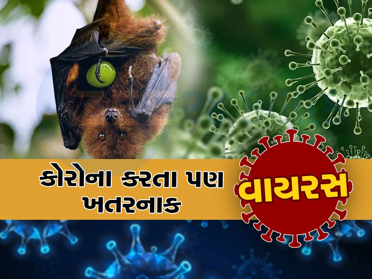 Nipah Virus: સાવધાન! કોરોનાથી 70% વધુ ખતરનાક વાયરસની એન્ટ્રી, અહીં સ્કૂલ-કોલેજો બંધ