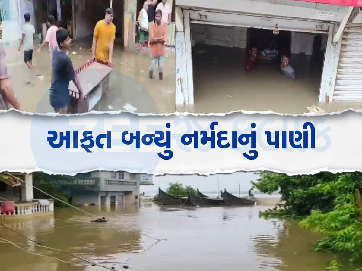 નર્મદા નદીએ ધારણ કર્યુ રૌદ્ર સ્વરૂપ : ભરૂચમાં 35 ફૂટ સપાટી વટાવી, મોટાપાયે સ્થળાંતર કરાયું 