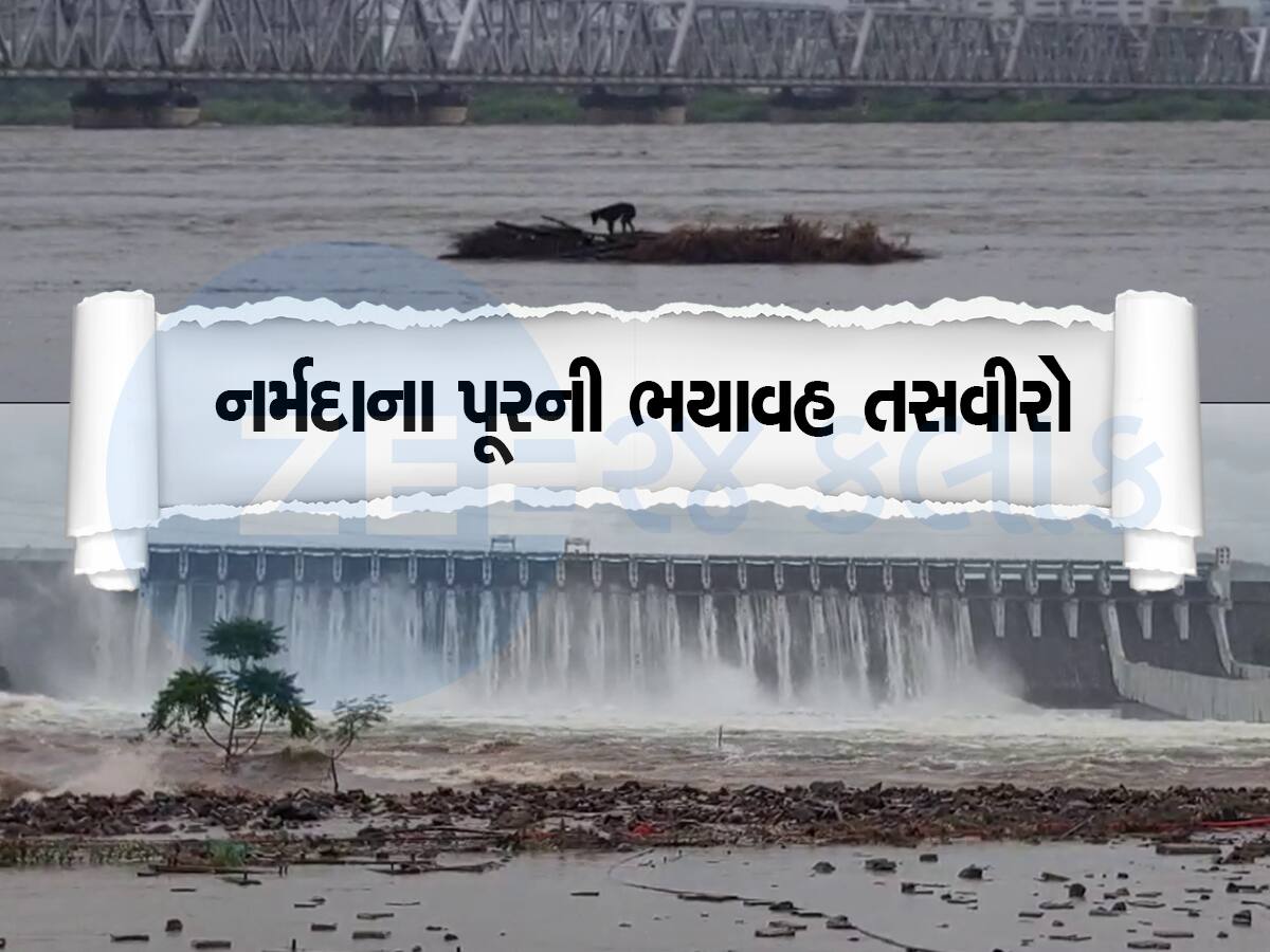 ગુજરાતમાં જળબંબાકારની સ્થિતિ, આજે 136 તાલુકામાં વરસ્યો ભારે વરસાદ, એલર્ટ પર નર્મદા જિલ્લો 