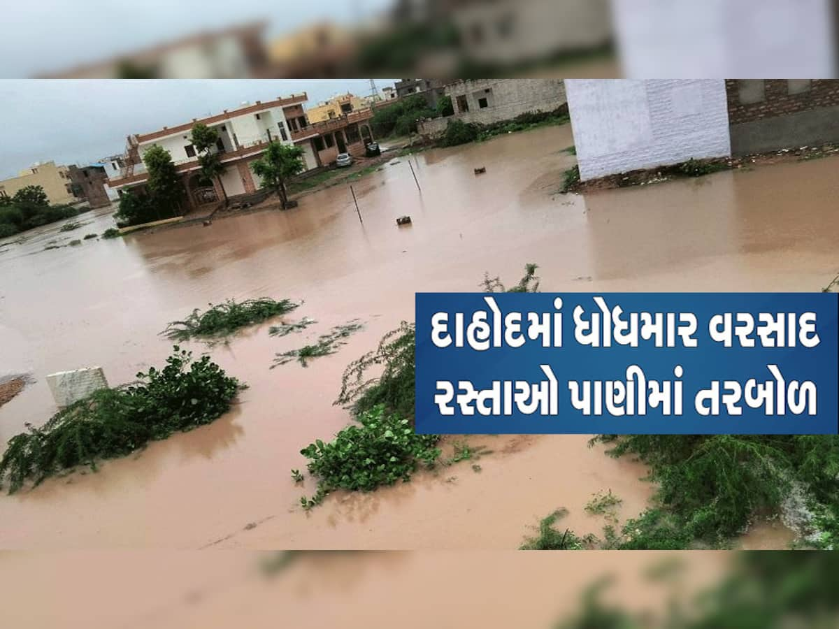 ભારે વરસાદથી દાહોદ જિલ્લો પાણી-પાણી, બે દિવસ રેડ એલર્ટ જાહેર કરતા શાળા-કોલેજોમાં જાહેર કરાઈ રજા