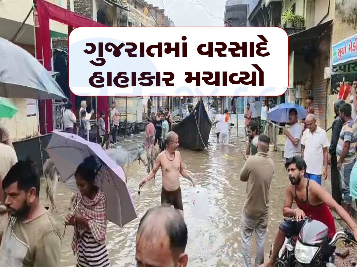 ગુજરાતમાં વરસાદના લેટેસ્ટ અહેવાલ : 7 જિલ્લાની શાળાઓમાં રજા જાહેર, સવારથી 91 તાલુકામાં મેઘમહેર 