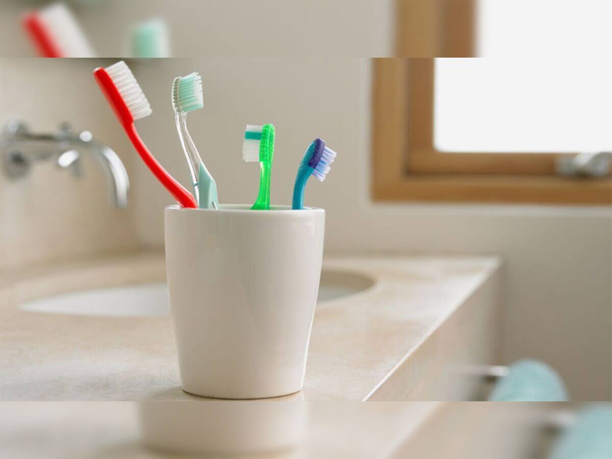 Toothbrush Hygiene: ટુથબ્રશને બાથરુમમાં રાખવાથી શું થાય ખબર છે ? જાણી લેશો તો ચઢશે ચીતરી