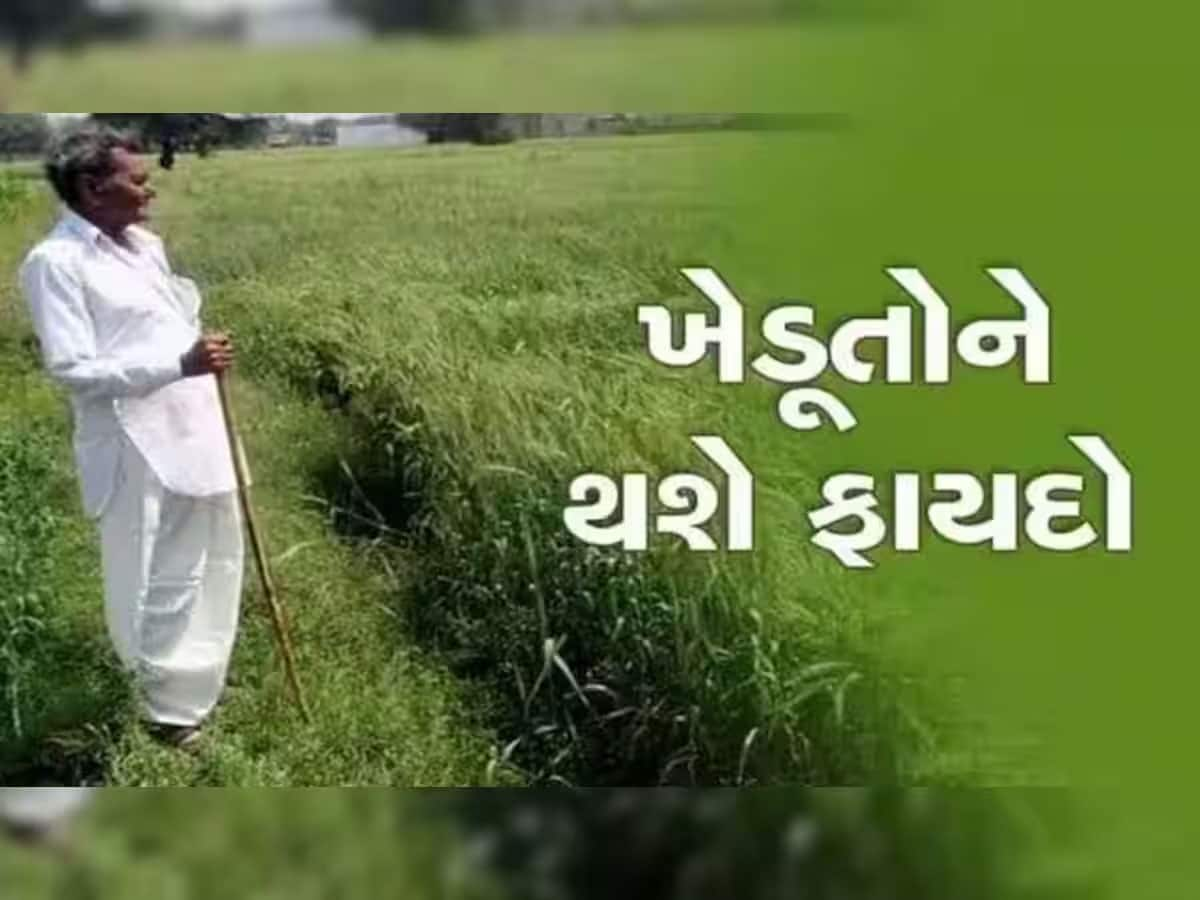 PM Kisan: મોદી સરકારે ખેડૂતો માટે શરૂ કરી છે નવી સુવિધા, હવે પહેલા કરતાં સરળ બનશે કામ 