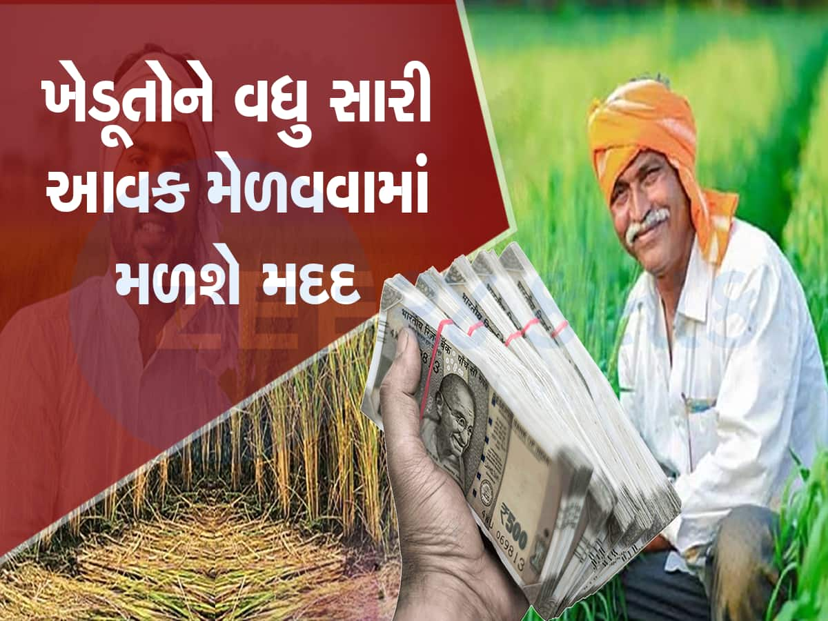 Farmers Benefits: ખેડૂતો માટે આવી ગયું મોટું અપડેટ, આવક વધારવા માટે ભર્યું મોટું પગલું