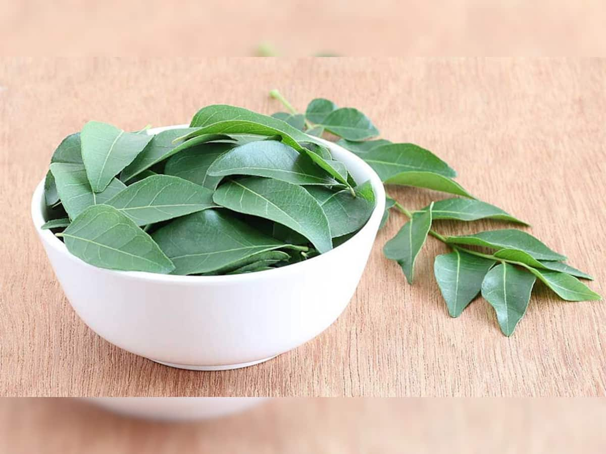 Curry Leaves: સવારે ચાવીને ખાઈ લેવા આ 4 પાન, પેટની બીમારીથી લઈ ત્વચાની સમસ્યા થશે દુર