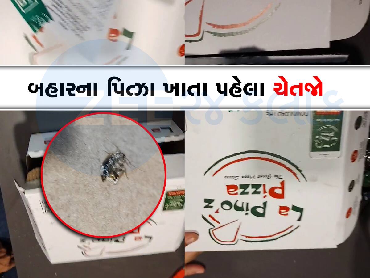 આ ફેમસ પિત્ઝા બ્રાન્ડના પિત્ઝામાં ફરી જીવડું દેખાયું, ચોંટેલો હતો મરેલો વંદો 