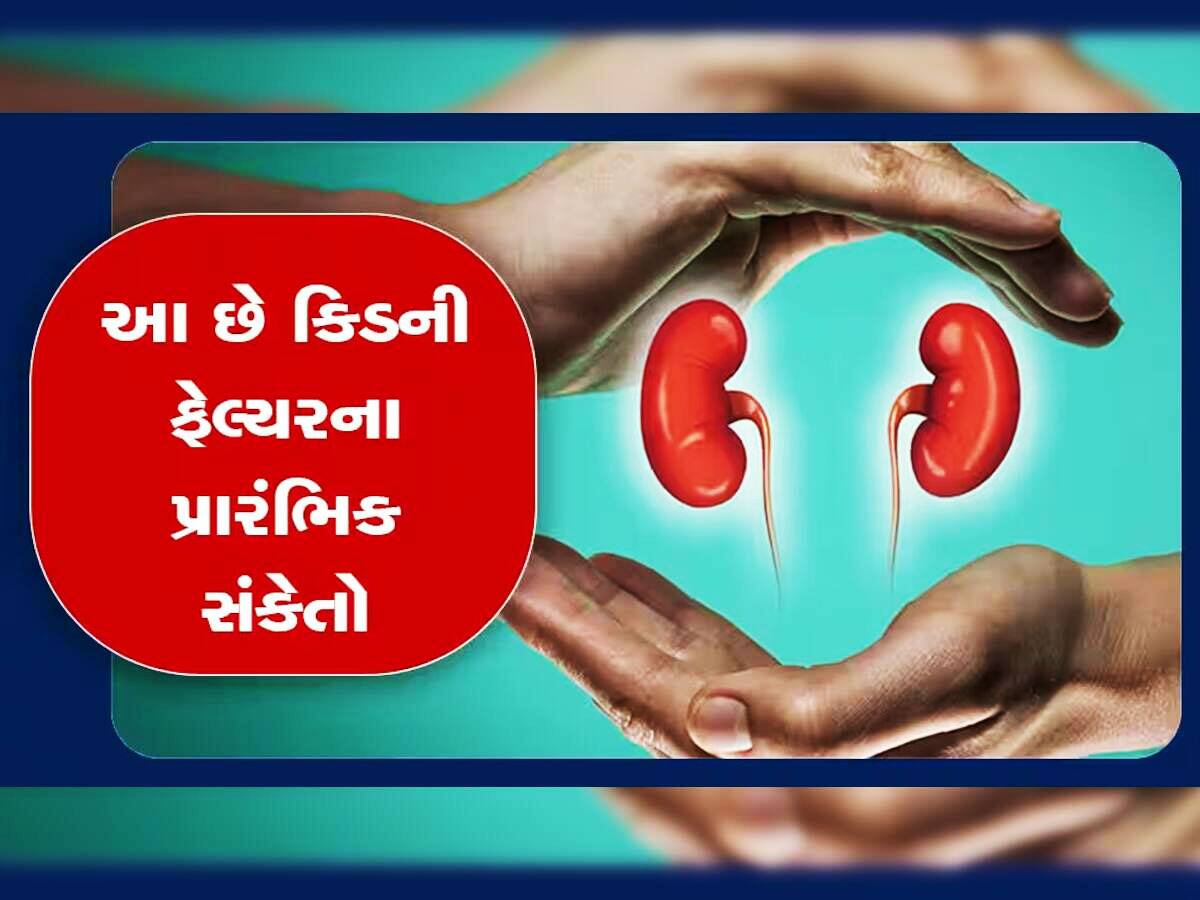 યુવાવસ્થામાં જ છોડી દો આ ચીજોનું સેવન, નહીં તો જલ્દી ખરાબ થઈ જશે કિડની