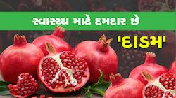 સ્વાસ્થ્ય માટે દમદાર છે દાડમના દાણા, એકવાર ફાયદા જાણશો તો ખાતા થઇ જશો!