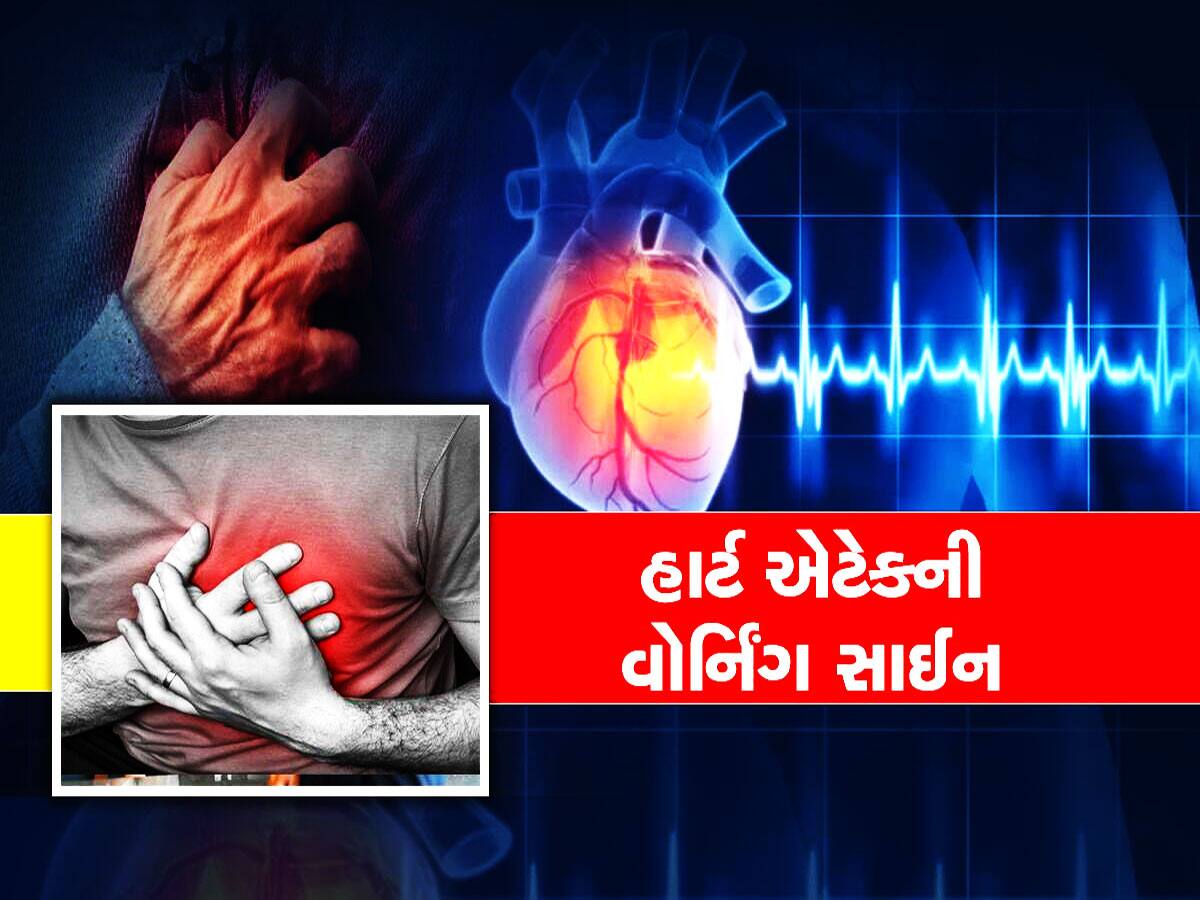 World Heart Day 2023: હાર્ટએટેક કે કાર્ડિયાક અરેસ્ટનો ડર છે તો આ 5 મેડિકલ ટેસ્ટ કરાવી લો