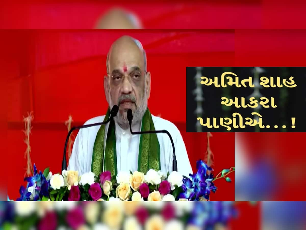 અમદાવાદમાં અમિત શાહ ગર્જ્યા, કહ્યું; 'દેશના વિકાસ માટે PM મોદીએ 20-20 બેટિંગ કરીને...'