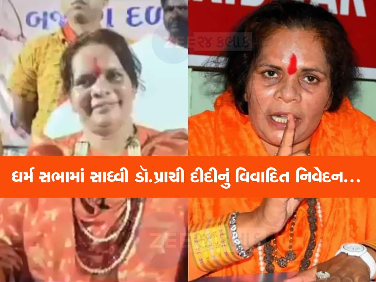 સાધ્વી ડૉ. પ્રાચી દીદીના પ્રહાર : ભારતના વિભાજન અને દુર્ગતિ માટે ખૂની પંજો જવાબદાર