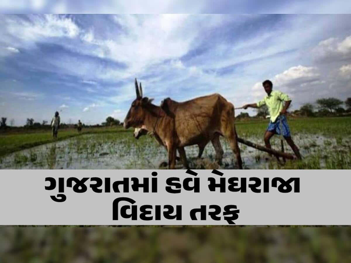 ગુજરાતમાં ચોમાસાને વિદાય આપવાનો સમય આવી ગયો? આ તારીખ નોંધી લો, જાણો હવે વરસાદની કેટલી શક્યતા છે? 