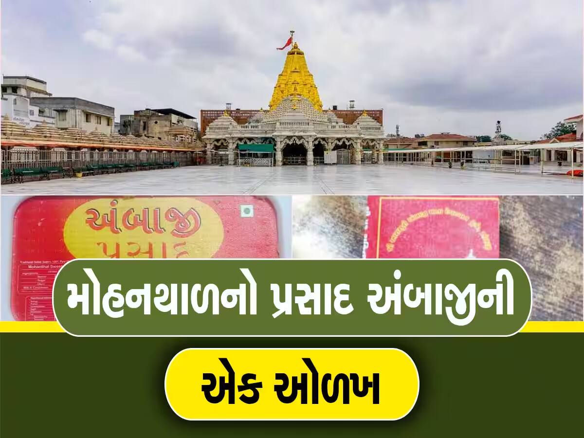 અંબાજી મોહનથાળના પ્રસાદમાં ભેળસેળના ખુલાસા પછી મોટો નિર્ણય; આ એજન્સીને નવો કોન્ટ્રોક્ટ મળ્યો