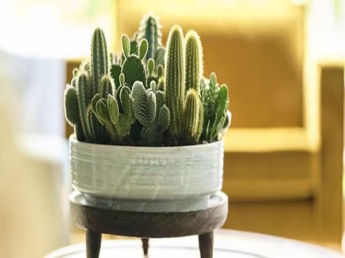 Home decor vastu tips