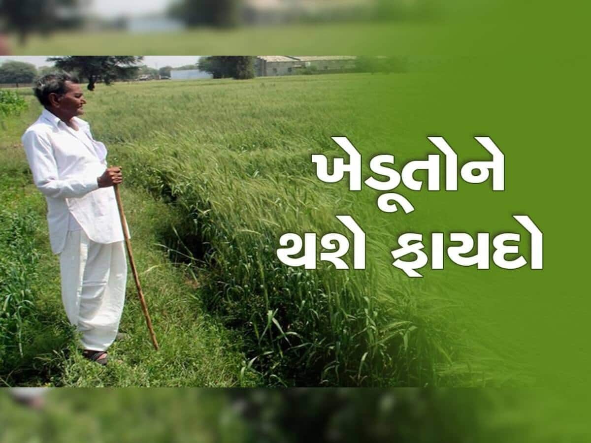 ખુશખબર! ખેડૂતોને દર મહિને 3 હજાર રૂપિયાનું પેન્શન આપશે સરકાર, તરત કરો આ નાનું કામ