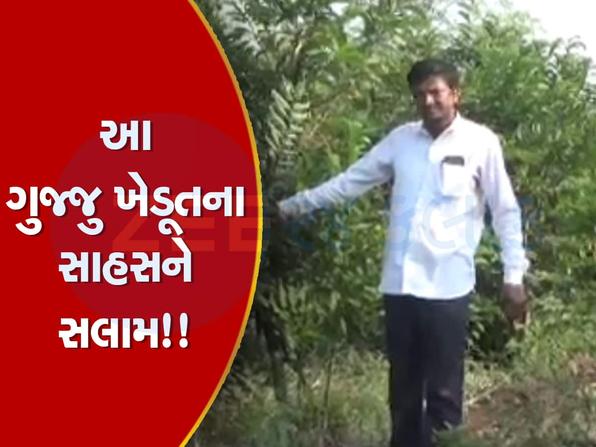 ગુજરાતના પ્રગતિશીલ ખેડૂતે સોશિયલ મીડિયામાં જોઈને એવું ફળ ઉગાડ્યું, જે લાખોની આવક કરી આપે છે 