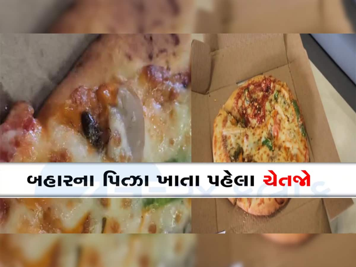 Video Viral: આ ફેમસ પિત્ઝા બ્રાન્ડના પિત્ઝામાં ફરી દેખાયો વંદો, જોઈને એવી ચિતરી ચઢશે કે ખાતા ભૂલી જશો!