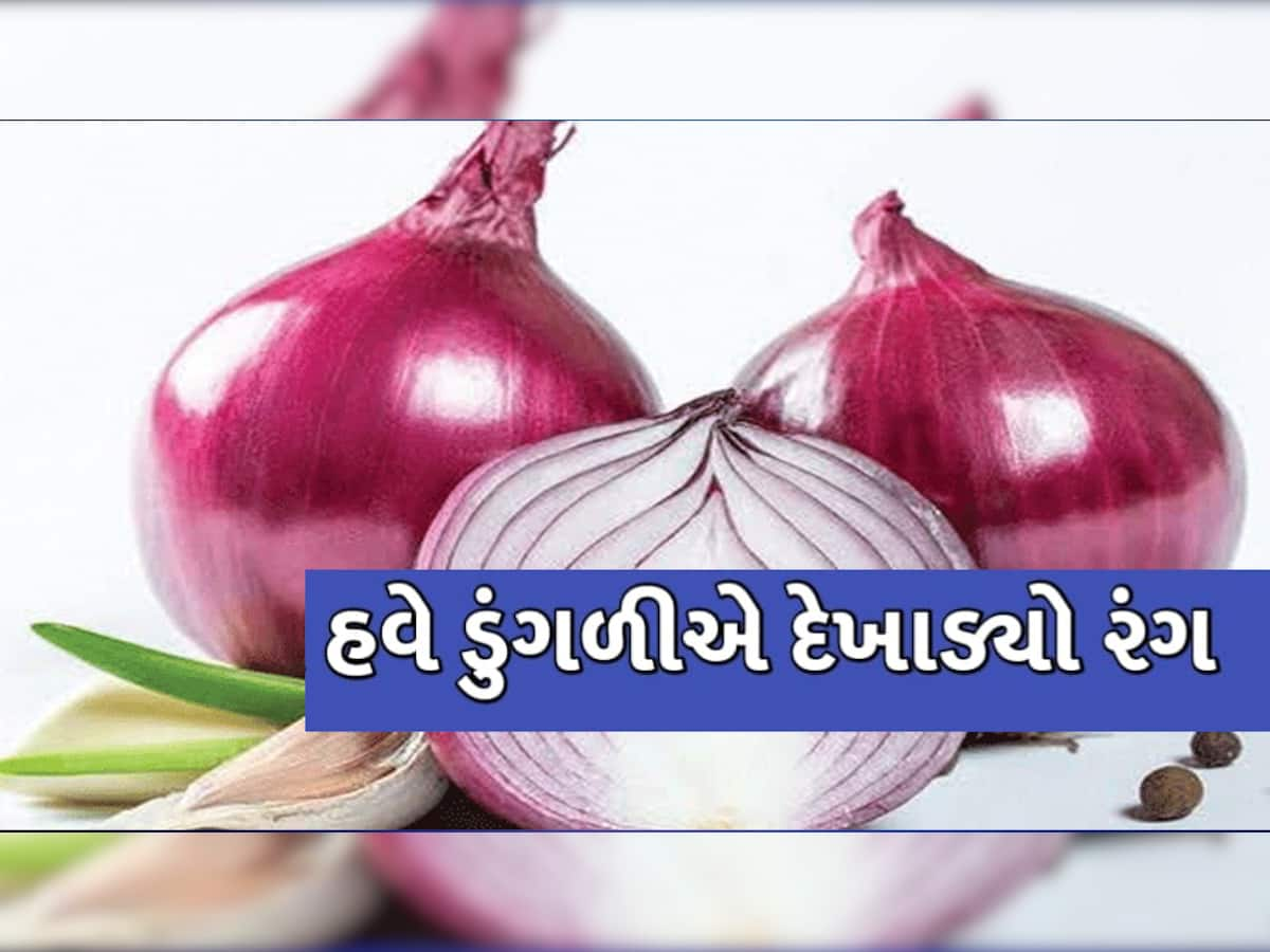 ગૃહિણીઓને વધુ એક ઝટકો! હવે ડુંગળીના ભાવમાં આગ ઝરતી તેજી, મોંઘી બની ગરીબોની કસ્તુરી