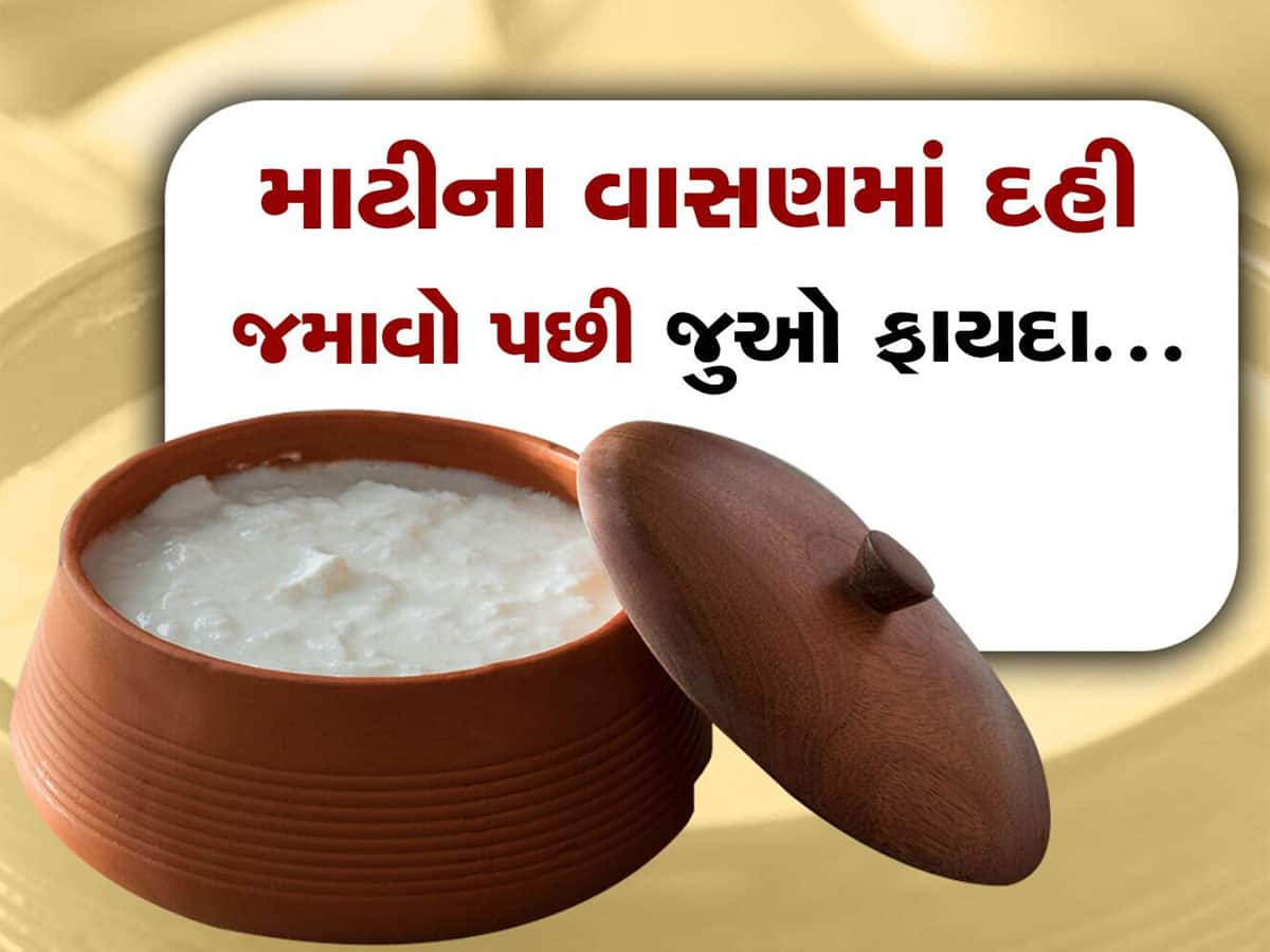 શું તમે જાણો છો કેમ માટીના વાસણમાં જમાવાય છે દહીં? ફાયદા જાણીને વિશ્વાસ નહીં થાય