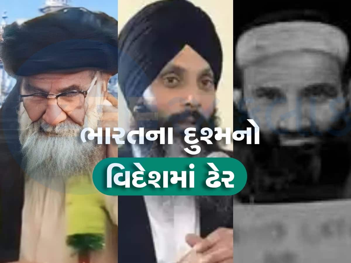 રાશિદ લતીફ, નિજ્જર અને હવે દાઉદ મલિક, જાણો વિદેશમાં ભારતના કેટલા દુશ્મન થઈ ગયા ઢેર