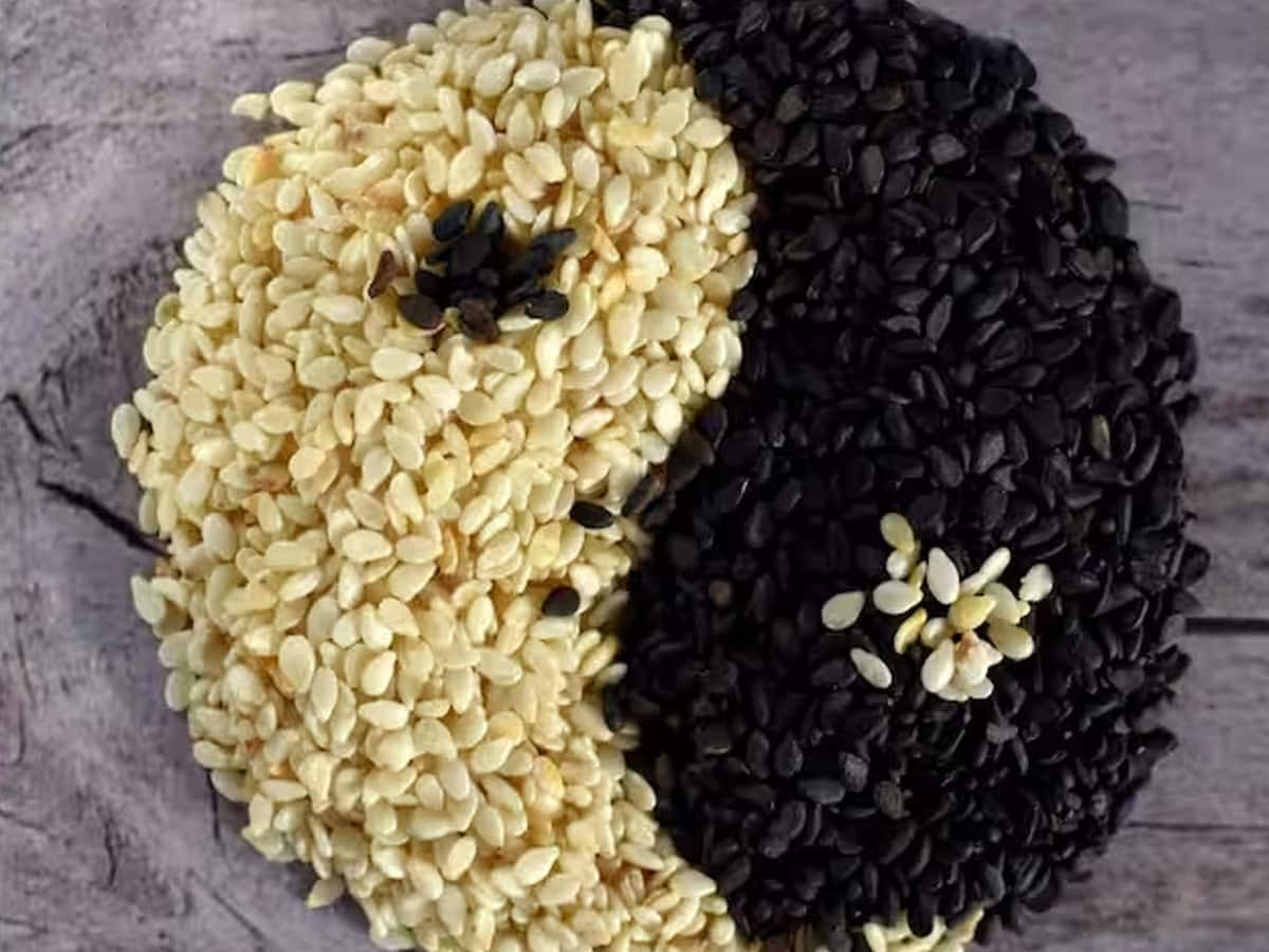 Sesame Seeds: શિયાળાની સિઝનમાં કયા તલ ખાવા જોઇએ સફેદ કે કાળા?