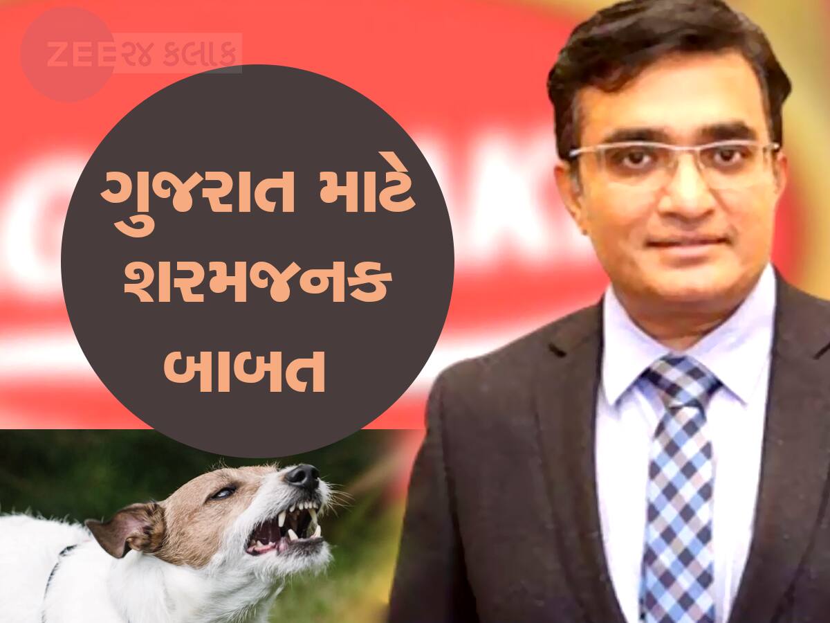 તમે ડોગ લવર છો તો માણસોને મરવા દેશો : વાઘ બકરીના માલિકના મોતથી દેશમાં ખળભળાટ, મનને ધ્રૂજાવી દે તેવી ઘટના