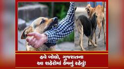 આ અમે નહિ સરકારી આંકડા કહે છે કે, 3 વર્ષમાં ગુજરાતમાં 12,55,066 લોકોને કુતરા કરડ્યા