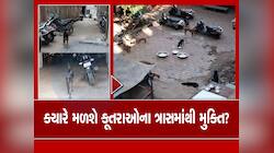 AMCમાં સત્તાધારી ભાજપની લાપરવાહીને કારણે અમદાવાદ શહેરમાં શ્વાનનો વધતો ત્રાસ