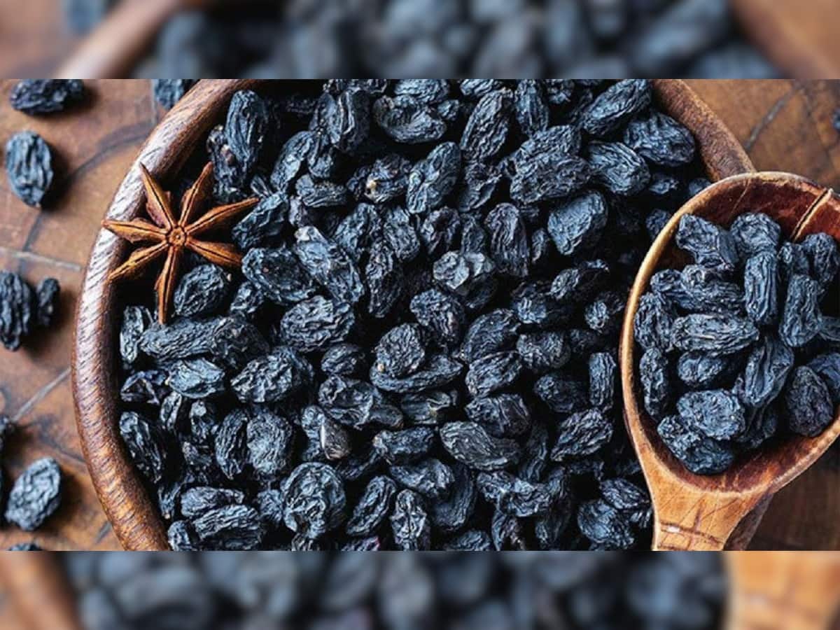 Black Raisins Benefits: કાળી દ્રાક્ષ ખાવાથી હાર્ટ રહે છે હેલ્ધી, જાણો ખાવાની સાચી રીત અને તેના ફાયદા વિશે