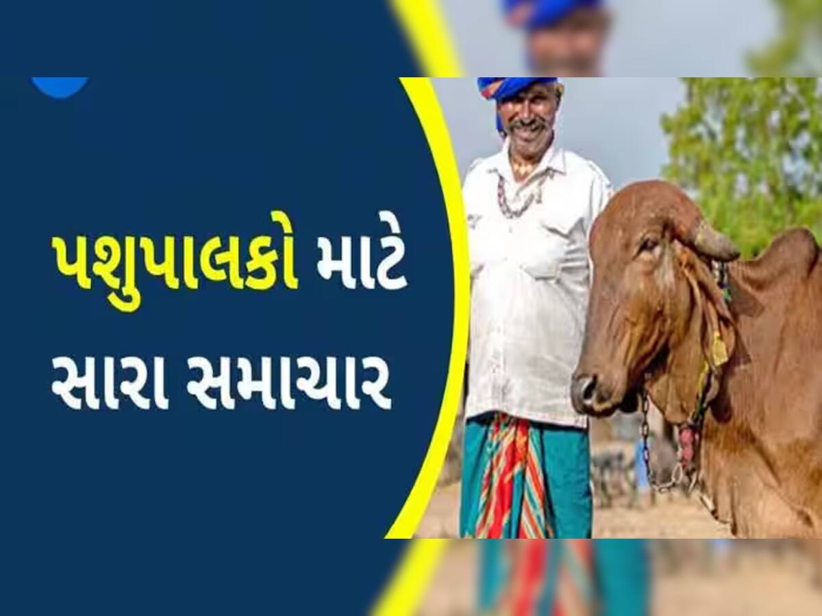 ગુજરાતના પશુપાલકોને દિવાળી ફળી! સાબરડેરીએ દૂધના ભાવમાં કર્યો જબરદસ્ત વધારો, જાણો લેટેસ્ટ ભાવ