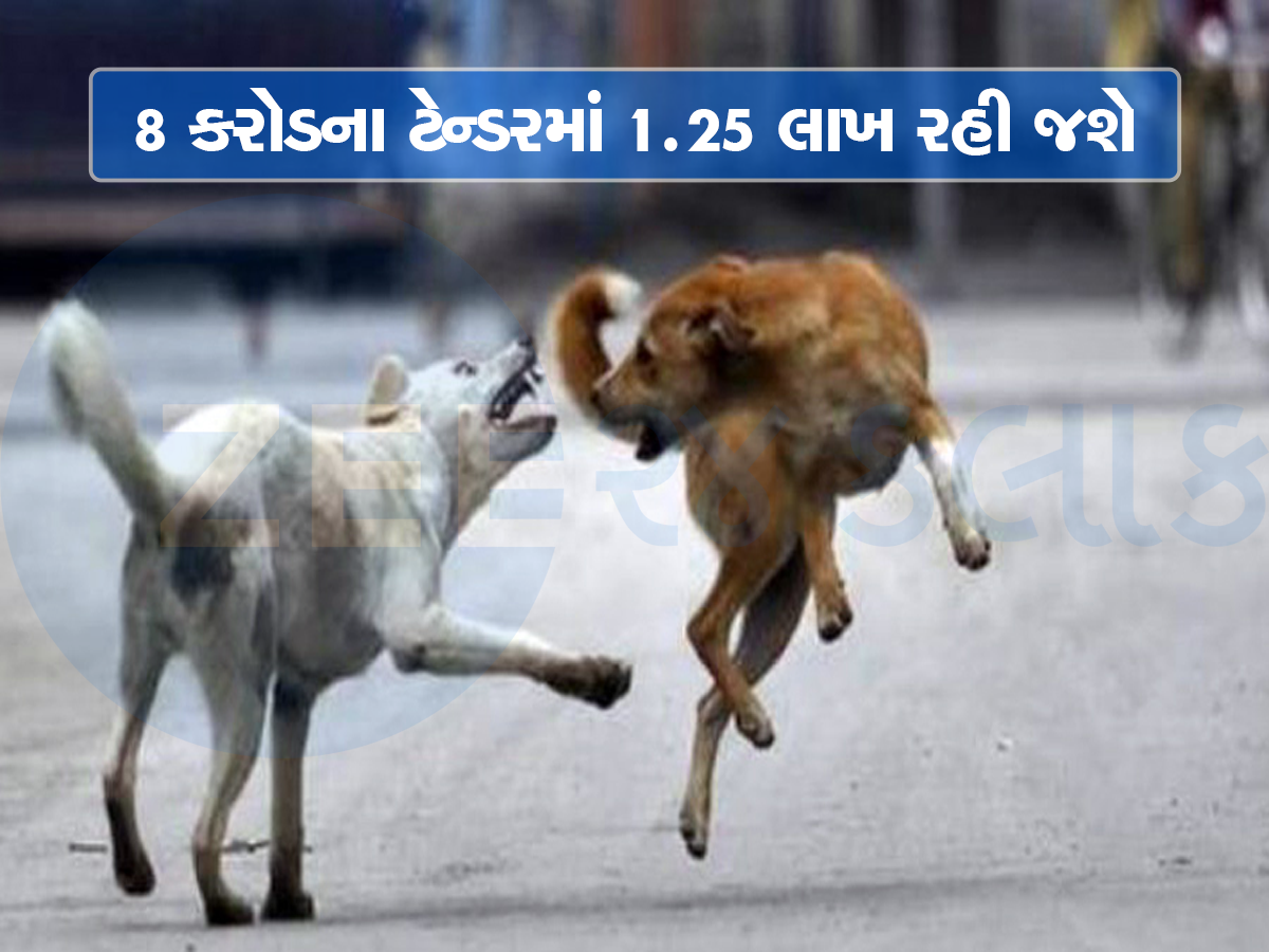 Parag Desai Death Case: કૂતરા નહીં સફેદ હાથી! 3 વર્ષ 9.11 કરોડ વપરાયા, 1 કૂતરા પાછળ 1000 ખર્ચ