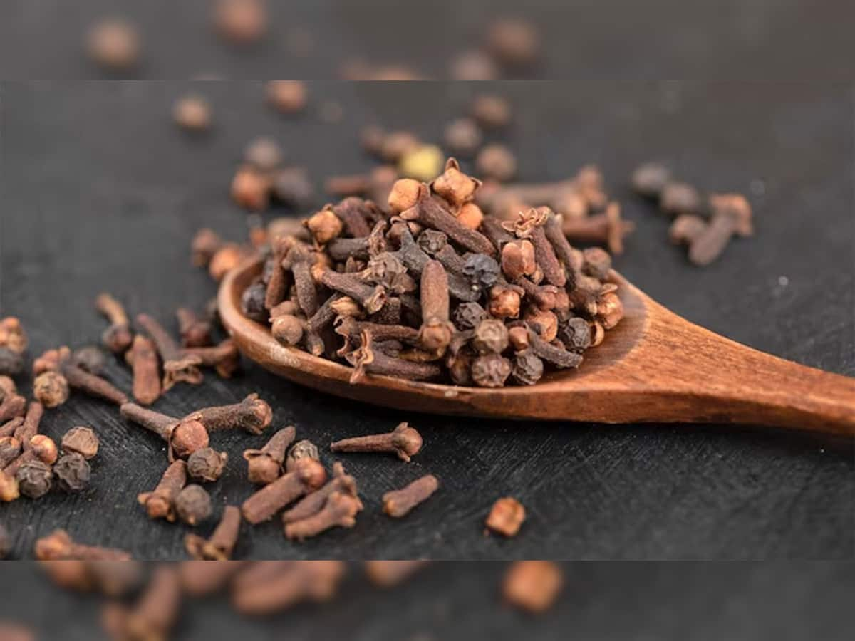 Clove Side Effects: લવિંગ ખાવાથી થાય છે લાભ પણ સાચવીને કરવો ઉપયોગ, કરી શકે છે ગંભીર નુકસાન