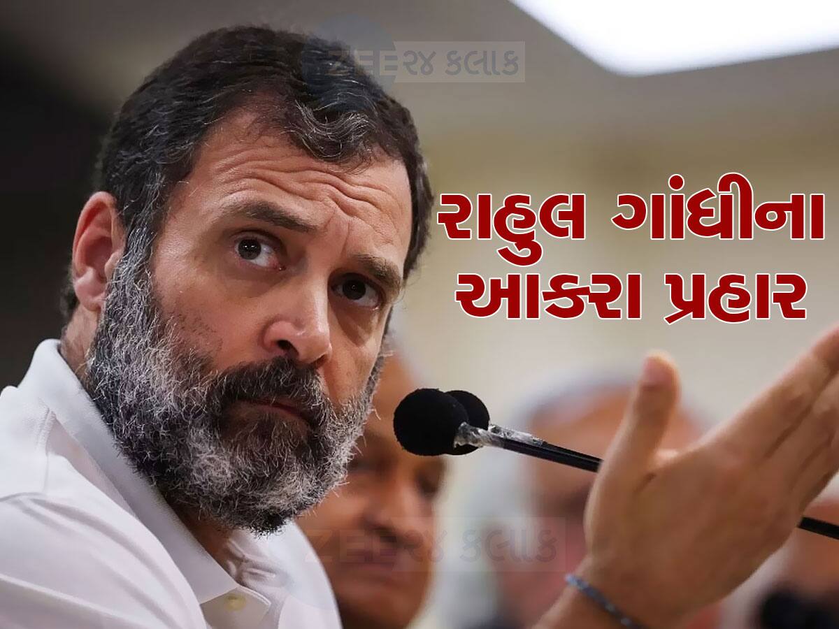 'અદાણીમાં PM મોદીજીનો આત્મા, વડાપ્રધાન નંબર ટુ, સરકારમાં નંબર વન...', રાહુલ ગાંધીના આકરા પ્રહાર