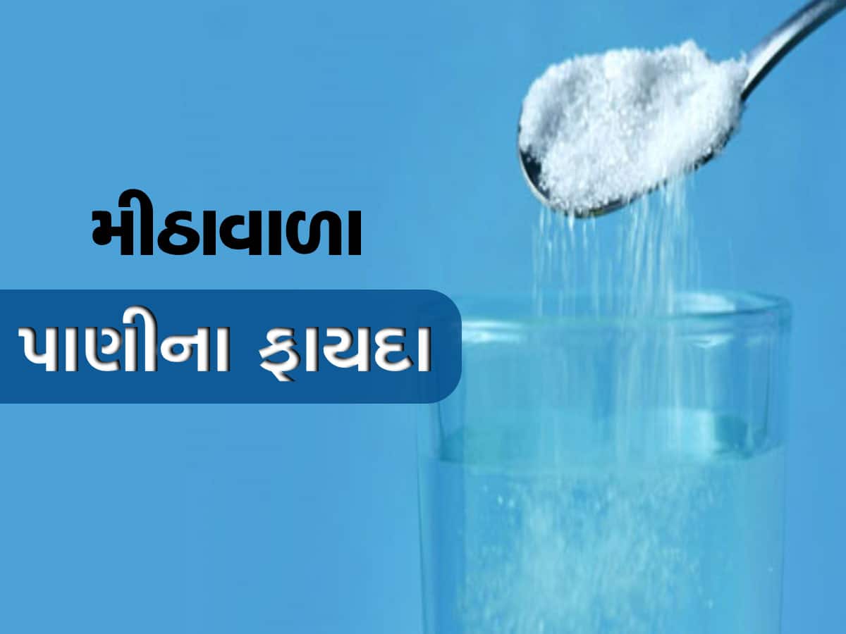 Salt Water Benefits: મીઠાવાળું પાણી પીવાથી થાય છે અને ફાયદા, ત્વચાથી માંડીને હાડકાં માટે છે બેસ્ટ, વજન પણ ઉતરે