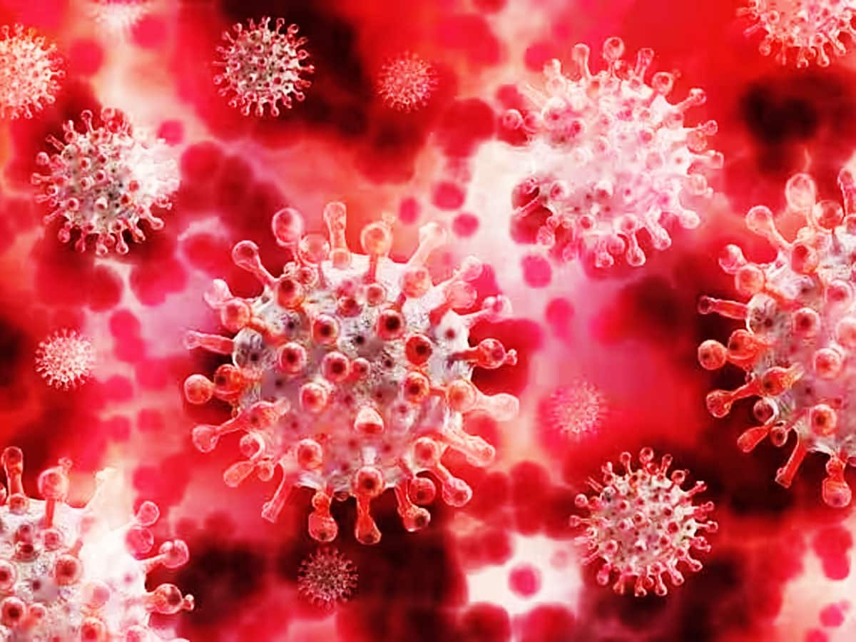 Coronavirus: ગુજરાતમાં આ જિલ્લામાં કોરોનાની એન્ટ્રી, આરોગ્ય તંત્ર હરકતમાં
