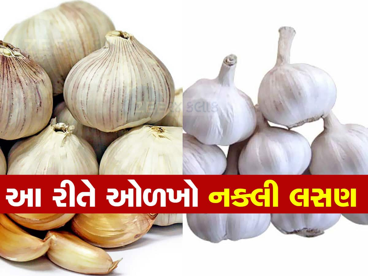 Alert! ક્યાંક તમે ચીનનું નકલી લસણ તો નથી ખાતા ને? ઓળખ કરવા માટે જુઓ Viral Video 