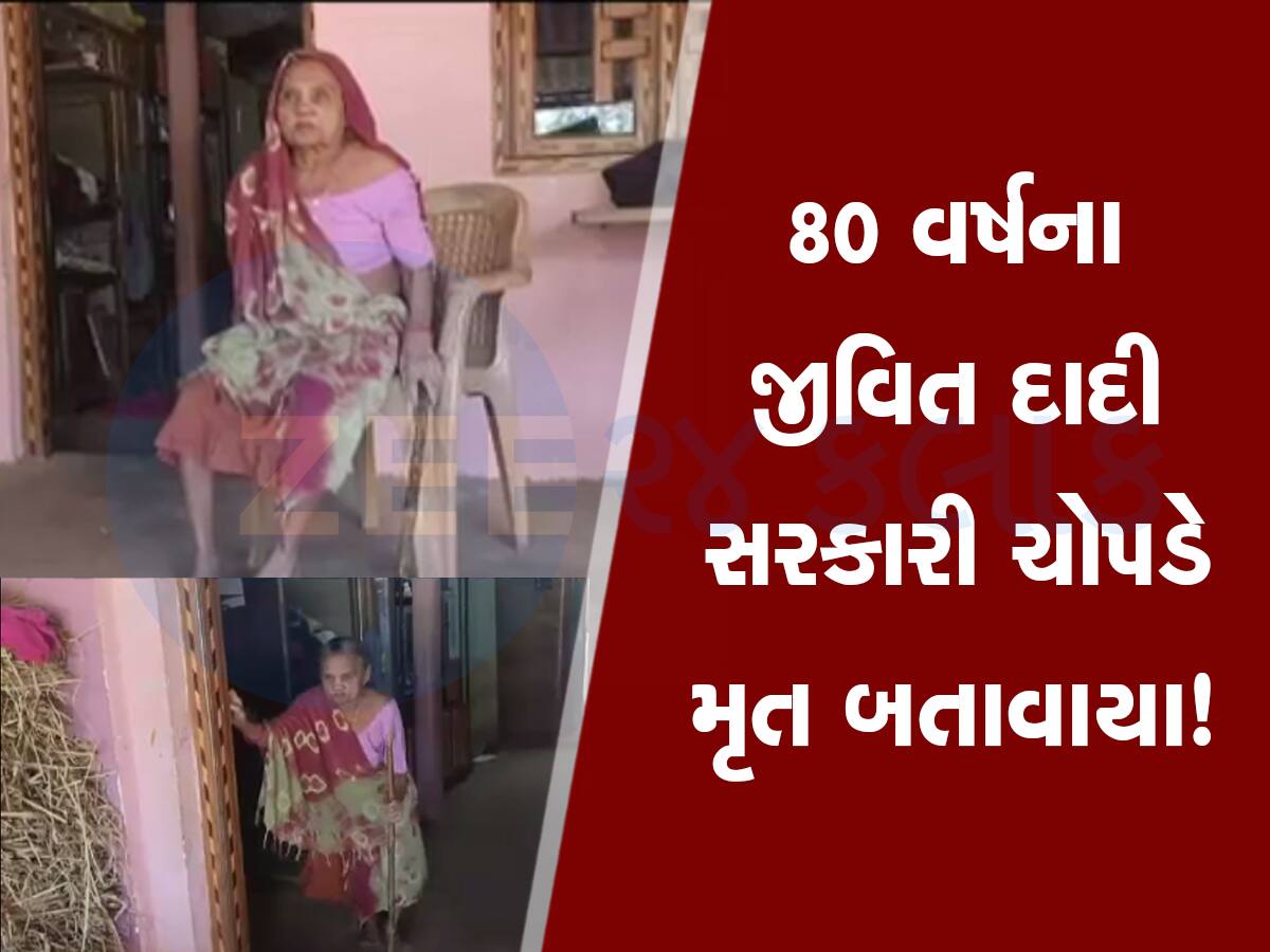 80 વર્ષના દાદીનું પેન્શન અટકતા મોટો આધાર છીનવાયો, તપાસ કરતા જ નીકળી મોટી ભૂલ