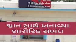 હે માનવ! તું કેમ ભૂલ્યો માણસાઈ? જાણો અબોલ કૂતરી માણસાઈની ક્રુરતા સામે કેવી રીતે હારી