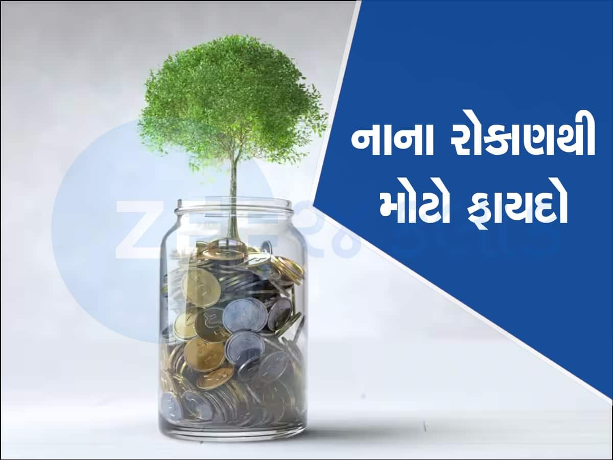 SIP નો પાવર: મહિને ₹10,000 નું રોકાણ કરી બની ગયું ₹2.6 કરોડનું ફંડ, મળ્યું જબરદસ્ત રિટર્ન