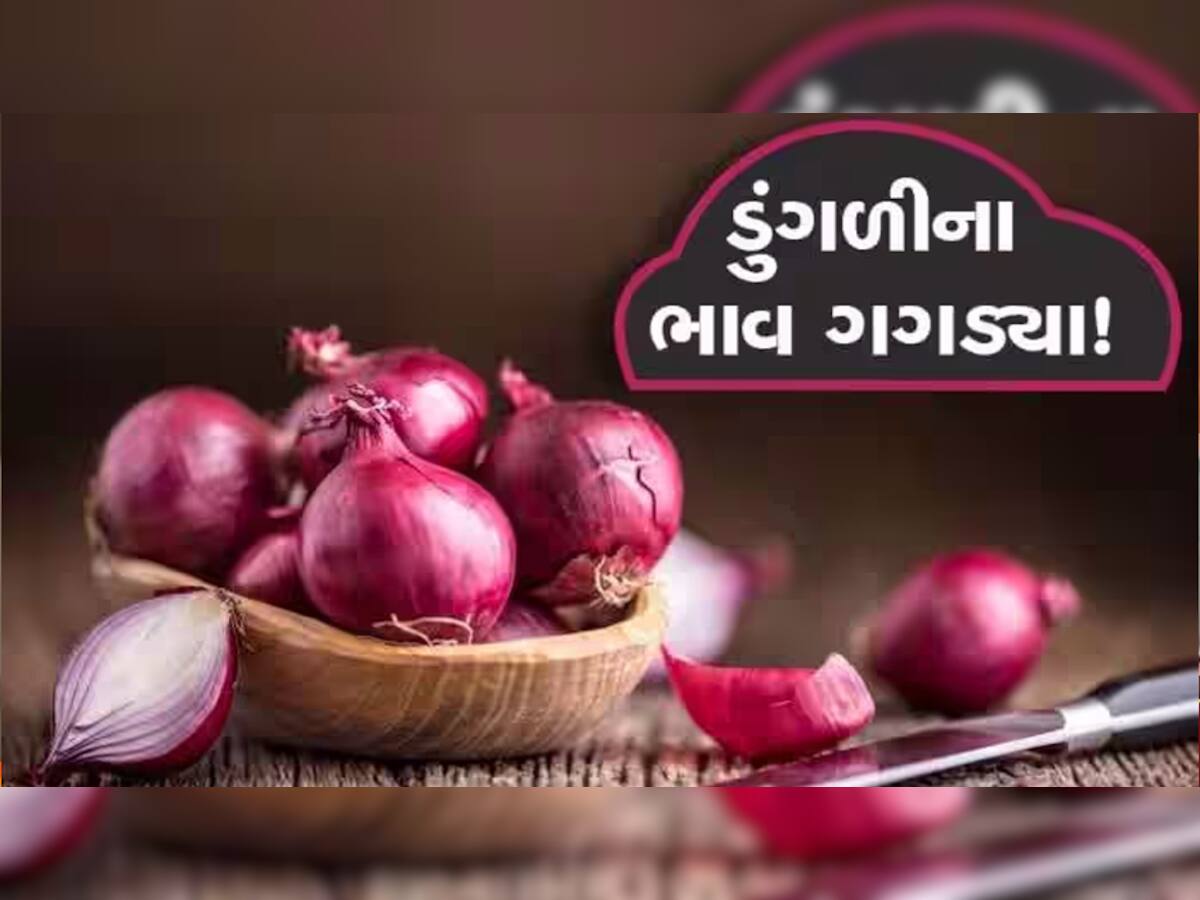 દિવાળી ટાણે ખેડૂતોને ફરી રોવાનો વારો! ડુંગળીની પુષ્કળ આવક વચ્ચે ભાવમાં મોટું ગાબડું, જાણો શું ચાલે છે ભાવ