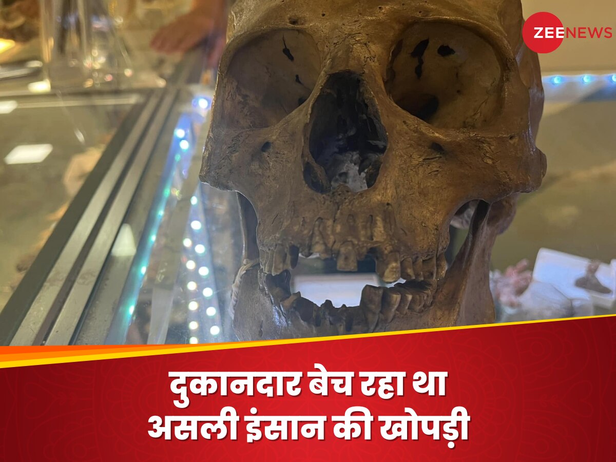 દુકાન પર એક વ્યક્તિ વેચી રહ્યો હતો અસલી માનવ ખોપડી 