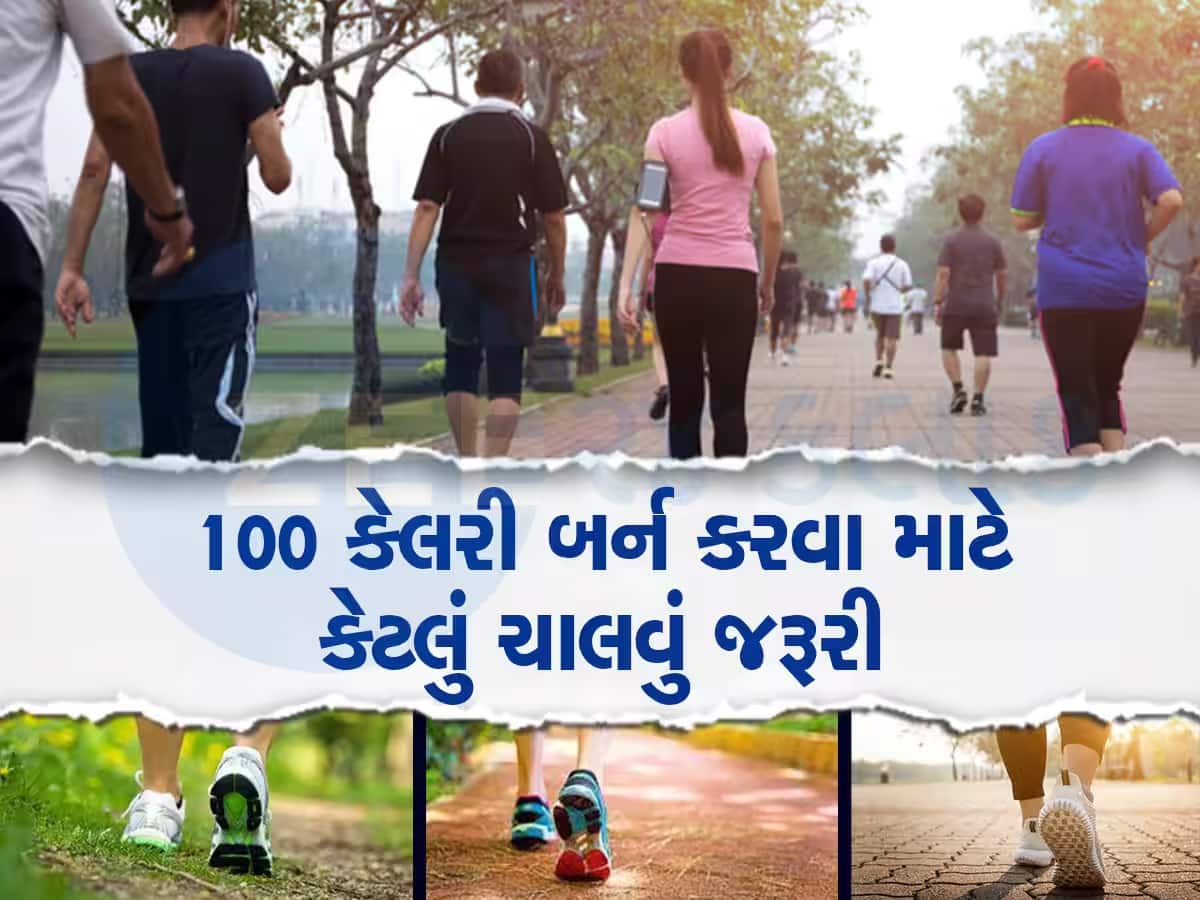 Walking Plan: દરરોજ આટલું ચાલશો તો ઘટી જશે 10 કિલો વજન, પરંતુ જાણો પહેલાં આ નિયમ