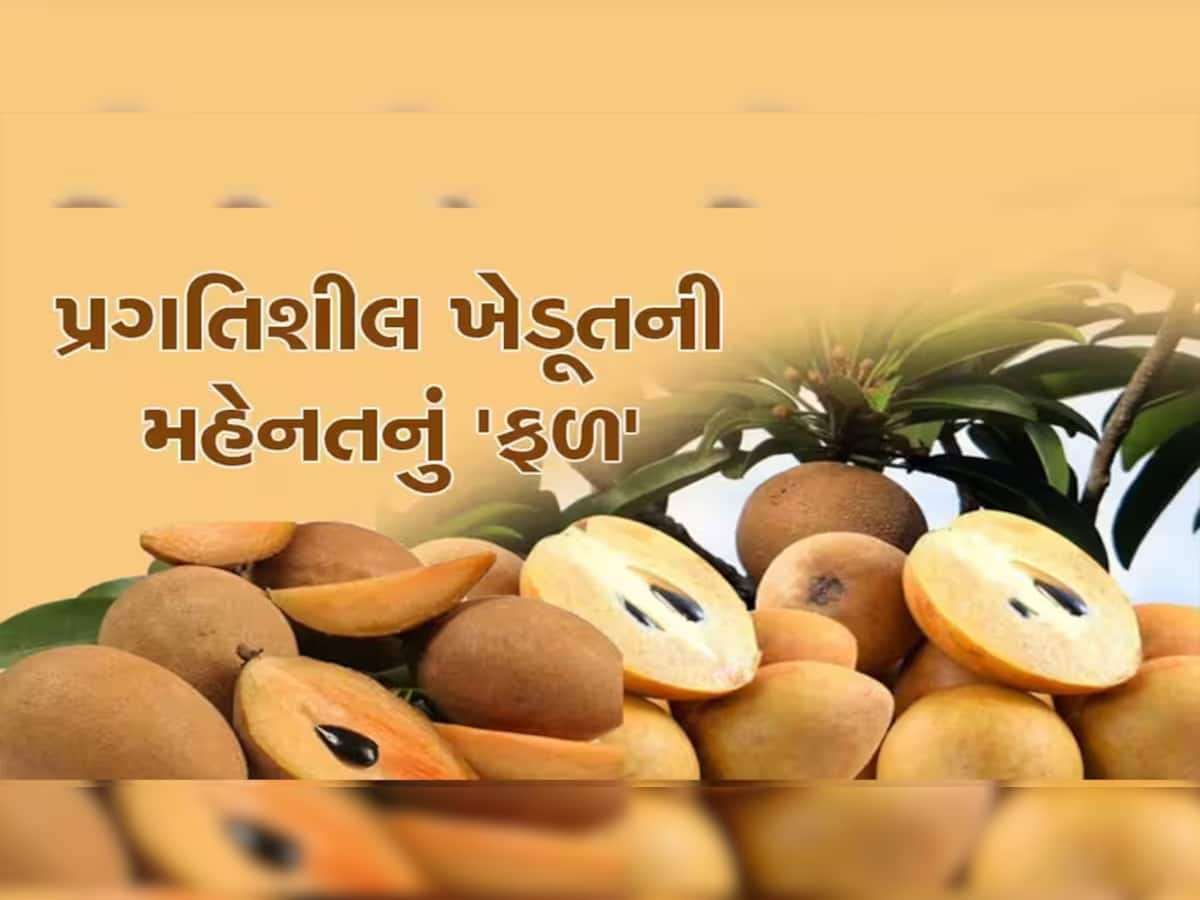 વેપારીઓને મોટી આશા! લાભ પાંચમથી અમલસાડ APMCમાં આ ફળની બમ્પર આવક, ખેડૂતોમાં ખુશીનો માહોલ