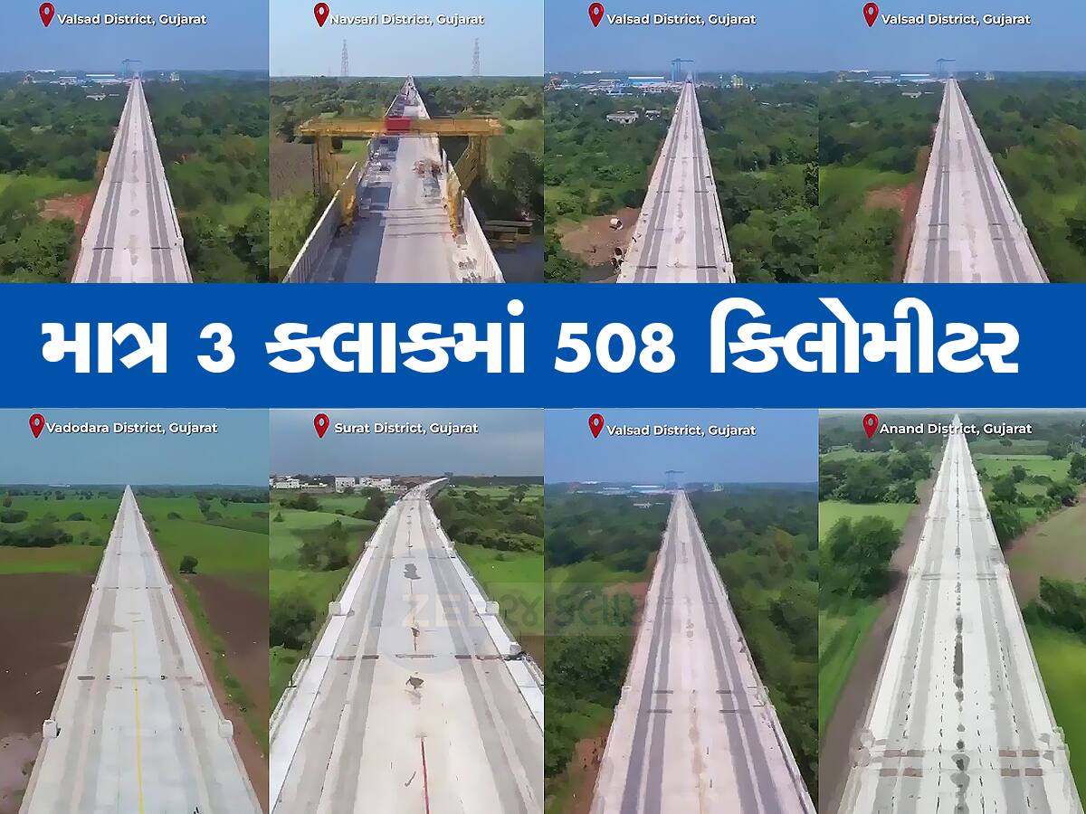 Bullet Train VIDEO: ગુજરાતમાં 100 કિમીનો બ્રિજ તૈયાર, 250 કિમી સુધીના પિલ્લર પર દોડશે ટ્રેન