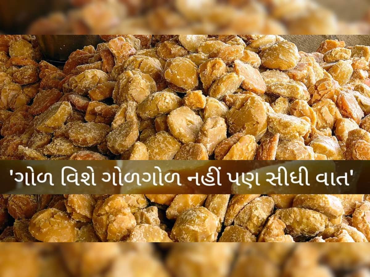 ગુજરાતમાં ગોળ ઉત્પાદનમાં કયો જિલ્લો છે હબ? શું હોય છે ગોળની ખાસિયત, કેમ વાગે છે વિદેશમાં ડંકો