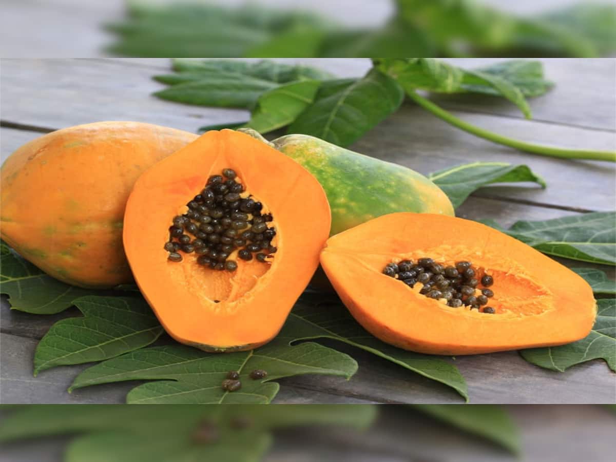Papaya Benefits: કબજિયાત દુર કરવાથી લઈ વજન ઘટાડવાનું કામ કરે છે પપૈયું, આ સમયે ખાવાથી થાય છે સૌથી વધુ ફાયદો