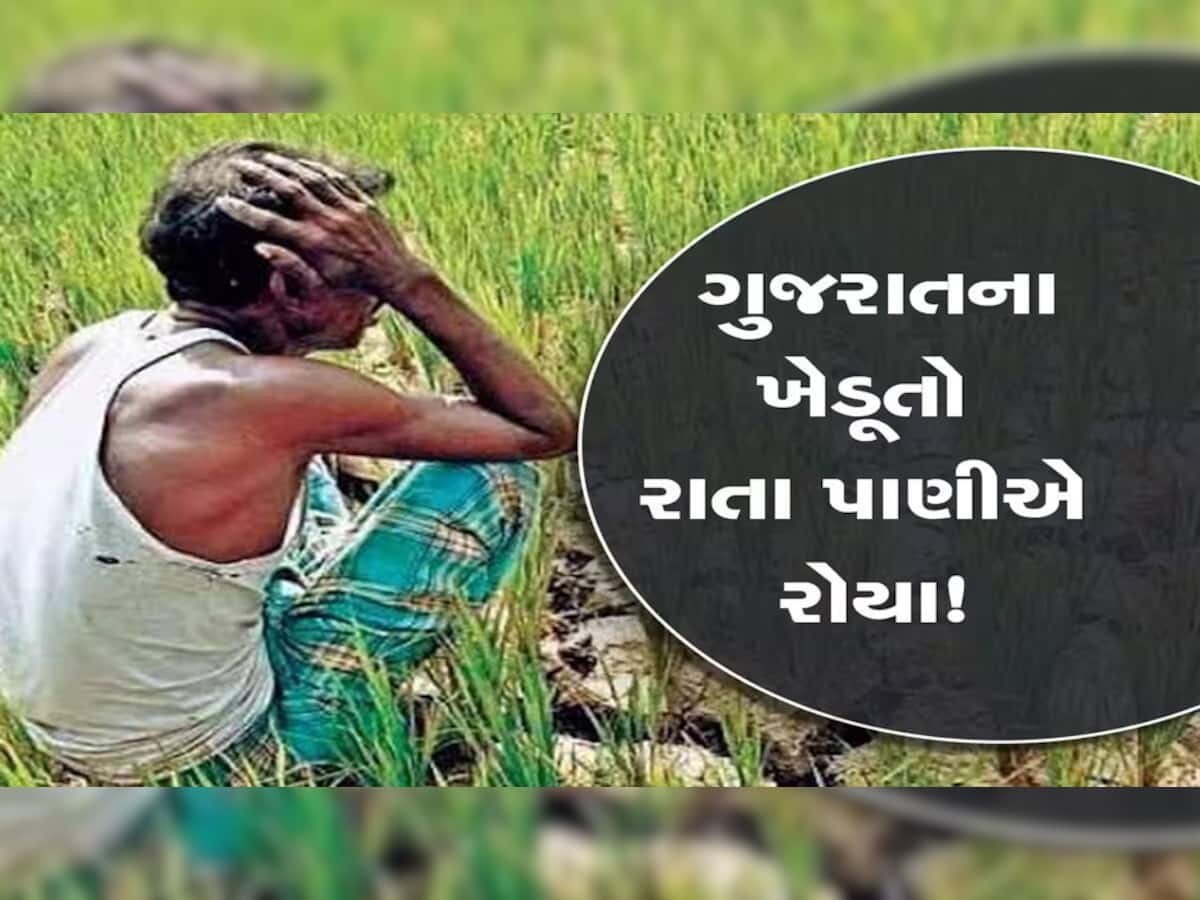 ગુજરાતભરમાં વરસાદે ખેડૂતોનું ગણિત બગાડ્યું! મોઢે આવેલો કોળિયો છીનવ્યો, નુકસાન જોઈ જીવ બળશે